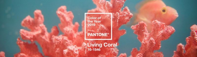 Living Coral: Το χρώμα του 2019 για την Pantone