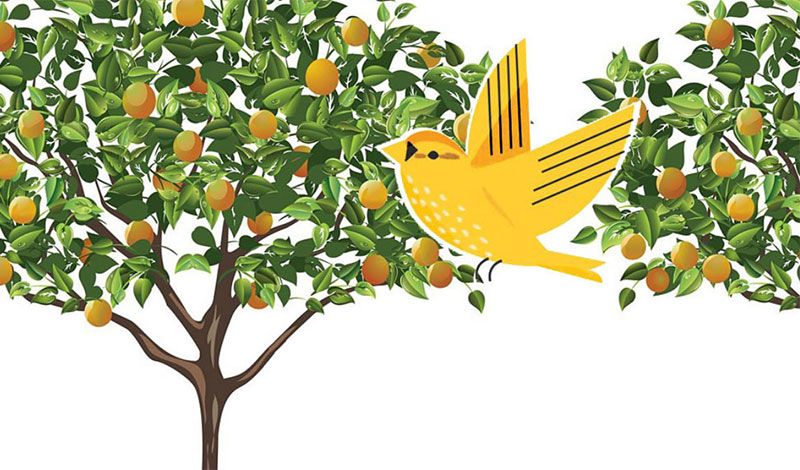 Μια αληθινή ιστορία διαδοχής: μεταβίβασε τις αξίες σου